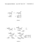 GLYCOCONJUGATES AND THEIR USE AS POTENTIAL VACCINES AGAINST INFECTION BY     SHIGELLA FLEXNERI diagram and image