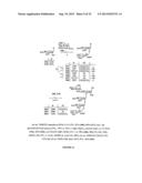 GLYCOCONJUGATES AND THEIR USE AS POTENTIAL VACCINES AGAINST INFECTION BY     SHIGELLA FLEXNERI diagram and image