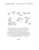 GLYCOCONJUGATES AND THEIR USE AS POTENTIAL VACCINES AGAINST INFECTION BY     SHIGELLA FLEXNERI diagram and image