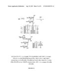 GLYCOCONJUGATES AND THEIR USE AS POTENTIAL VACCINES AGAINST INFECTION BY     SHIGELLA FLEXNERI diagram and image