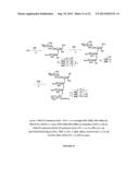 GLYCOCONJUGATES AND THEIR USE AS POTENTIAL VACCINES AGAINST INFECTION BY     SHIGELLA FLEXNERI diagram and image