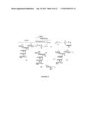 GLYCOCONJUGATES AND THEIR USE AS POTENTIAL VACCINES AGAINST INFECTION BY     SHIGELLA FLEXNERI diagram and image