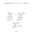 GLYCOCONJUGATES AND THEIR USE AS POTENTIAL VACCINES AGAINST INFECTION BY     SHIGELLA FLEXNERI diagram and image