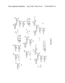 GLYCOCONJUGATES AND THEIR USE AS POTENTIAL VACCINES AGAINST INFECTION BY     SHIGELLA FLEXNERI diagram and image