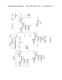 GLYCOCONJUGATES AND THEIR USE AS POTENTIAL VACCINES AGAINST INFECTION BY     SHIGELLA FLEXNERI diagram and image