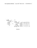 GLYCOCONJUGATES AND THEIR USE AS POTENTIAL VACCINES AGAINST INFECTION BY     SHIGELLA FLEXNERI diagram and image