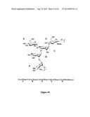 GLYCOCONJUGATES AND THEIR USE AS POTENTIAL VACCINES AGAINST INFECTION BY     SHIGELLA FLEXNERI diagram and image