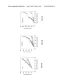 Methods for Treating Diseases and HSV Using Antibodies to     Aminophospholipids diagram and image