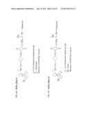 Methods for Treating Diseases and HSV Using Antibodies to     Aminophospholipids diagram and image