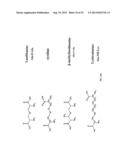 Methods for Treating Diseases and HSV Using Antibodies to     Aminophospholipids diagram and image