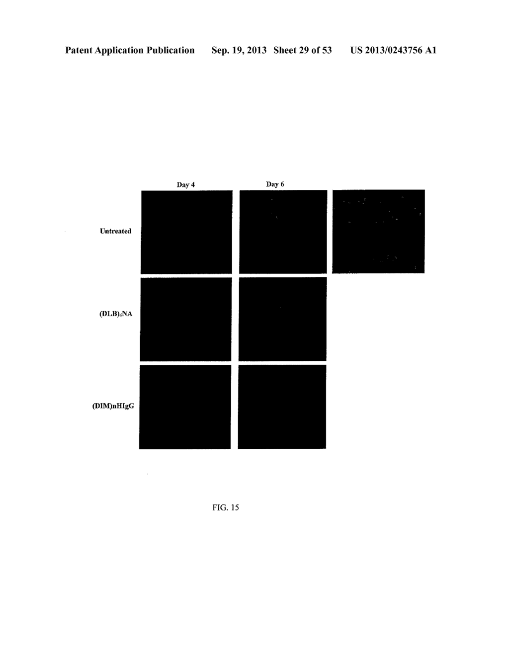 Methods for Treating Diseases and HSV Using Antibodies to     Aminophospholipids - diagram, schematic, and image 30