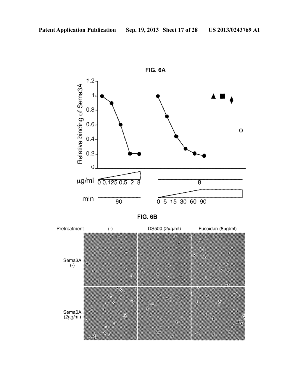 INDUCED INTERNALIZATION OF SURFACE RECEPTORS - diagram, schematic, and image 18