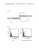 HIGHLY EFFECTIVE ANTI-CADHERIN ANTIBODY FOR INDUCTION OF     ANTIBODY-DEPENDENT CELLULAR CYTOTOXICITY IN VIVO diagram and image