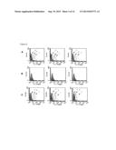 HIGHLY EFFECTIVE ANTI-CADHERIN ANTIBODY FOR INDUCTION OF     ANTIBODY-DEPENDENT CELLULAR CYTOTOXICITY IN VIVO diagram and image