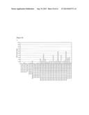 HIGHLY EFFECTIVE ANTI-CADHERIN ANTIBODY FOR INDUCTION OF     ANTIBODY-DEPENDENT CELLULAR CYTOTOXICITY IN VIVO diagram and image