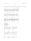 HIGHLY EFFECTIVE ANTI-CADHERIN ANTIBODY FOR INDUCTION OF     ANTIBODY-DEPENDENT CELLULAR CYTOTOXICITY IN VIVO diagram and image