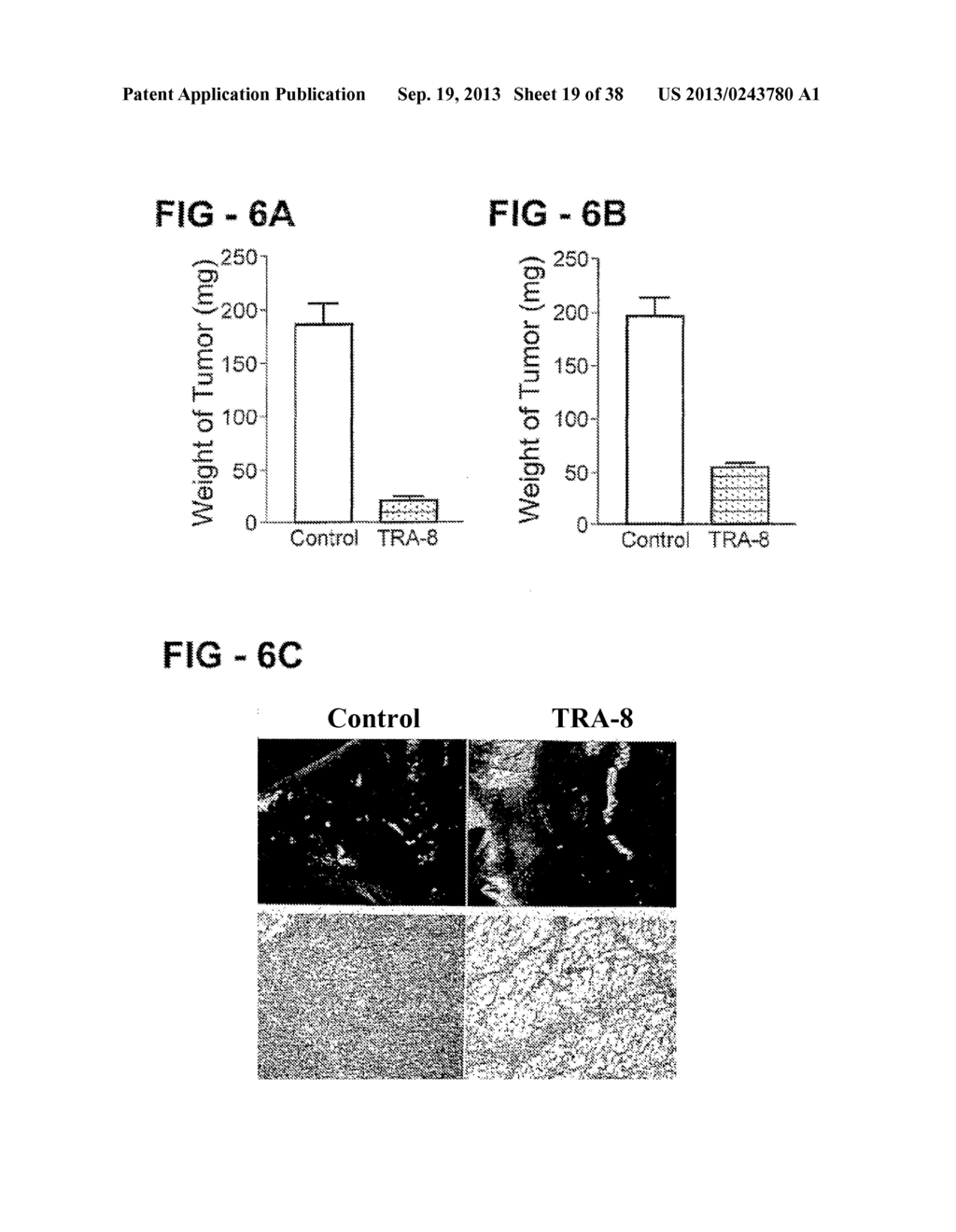 Antibody Selective for a Tumor Necrosis Factor-Related Apoptosis-Inducing     Ligand Receptor and Uses Thereof - diagram, schematic, and image 20