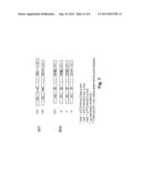 Multiple Gene Expression Including sORF Constructs and Methods with     Polyproteins, Pro-Proteins and Proteolysis diagram and image