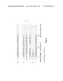 Multiple Gene Expression Including sORF Constructs and Methods with     Polyproteins, Pro-Proteins and Proteolysis diagram and image