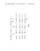 Multiple Gene Expression Including sORF Constructs and Methods with     Polyproteins, Pro-Proteins and Proteolysis diagram and image