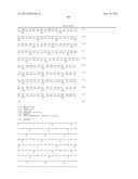 Multiple Gene Expression Including sORF Constructs and Methods with     Polyproteins, Pro-Proteins and Proteolysis diagram and image