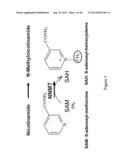 Methods Of Treating Obesity By Inhibiting Nicotinamide N-Methyl     Transferase (NNMT) diagram and image