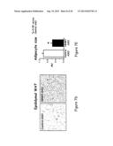 Methods Of Treating Obesity By Inhibiting Nicotinamide N-Methyl     Transferase (NNMT) diagram and image