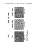 Methods Of Treating Obesity By Inhibiting Nicotinamide N-Methyl     Transferase (NNMT) diagram and image