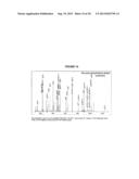 NOVEL CANCER-ASSOCIATED ANTIGEN diagram and image