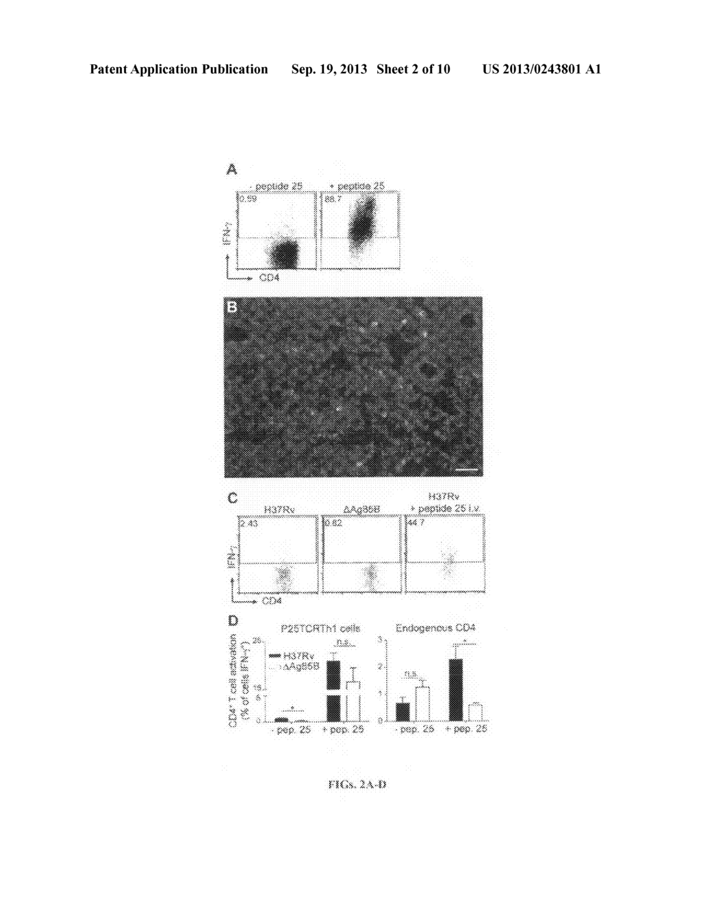 EPITOPE THERAPY FOR INFECTIOUS DISEASES - diagram, schematic, and image 03