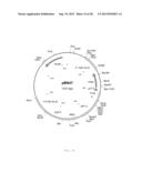 INTERGENIC REGIONS AS INSERTION SITES IN THE GENOME OF MODIFIED VACCINIA     VIRUS ANKARA (MVA) diagram and image