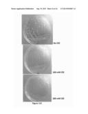 ACTIVATED CREATININE AND PRECURSORS THEREOF AS ANTIBACTERIAL AGENTS,     COMPOSITIONS AND PRODUCTS CONTAINING SUCH AGENTS AND USE THEREOF diagram and image