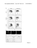 ADJUVANT diagram and image