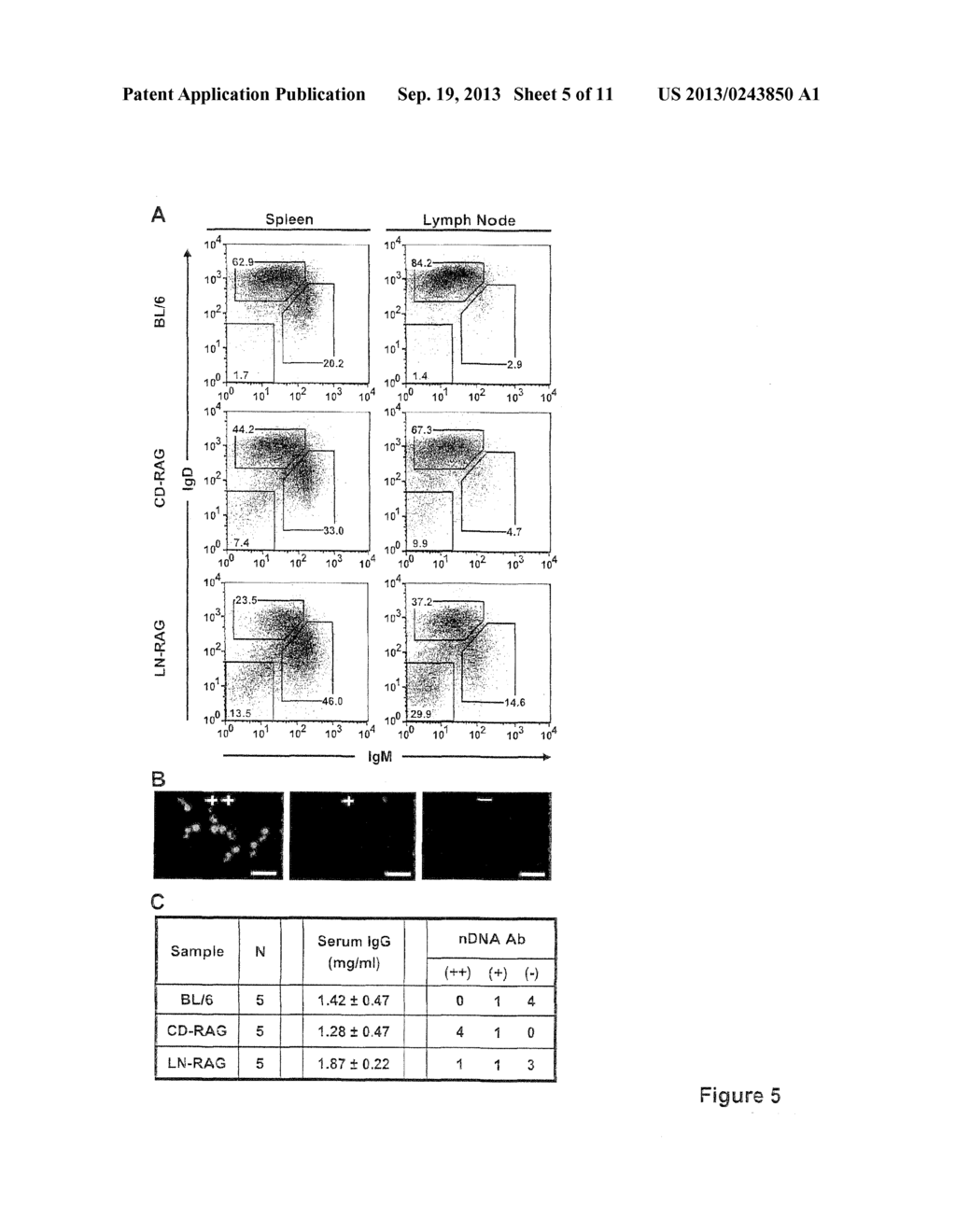 ADJUVANT - diagram, schematic, and image 06