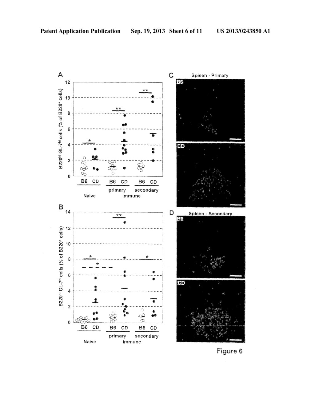 ADJUVANT - diagram, schematic, and image 07