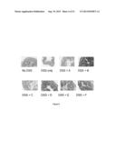 IMMUNOMODULATORY COMPOSITIONS diagram and image