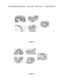 IMMUNOMODULATORY COMPOSITIONS diagram and image