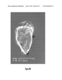 NANOTUBE SOLUTIONS WITH HIGH CONCENTRATION AND LOW CONTAMINATION AND     METHODS FOR PURIFIYING NANOTUBE SOLUTIONS diagram and image