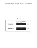 METHOD FOR ISOLATING HEPATITIS A VIRUS OR SPRING VIREMIA OF CARP VIRUS diagram and image