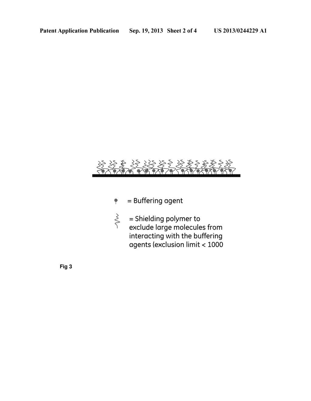 BUFFERING COMPOSITIONS ENCLOSED IN A SIZE EXCLUSION MATRIX - diagram, schematic, and image 03