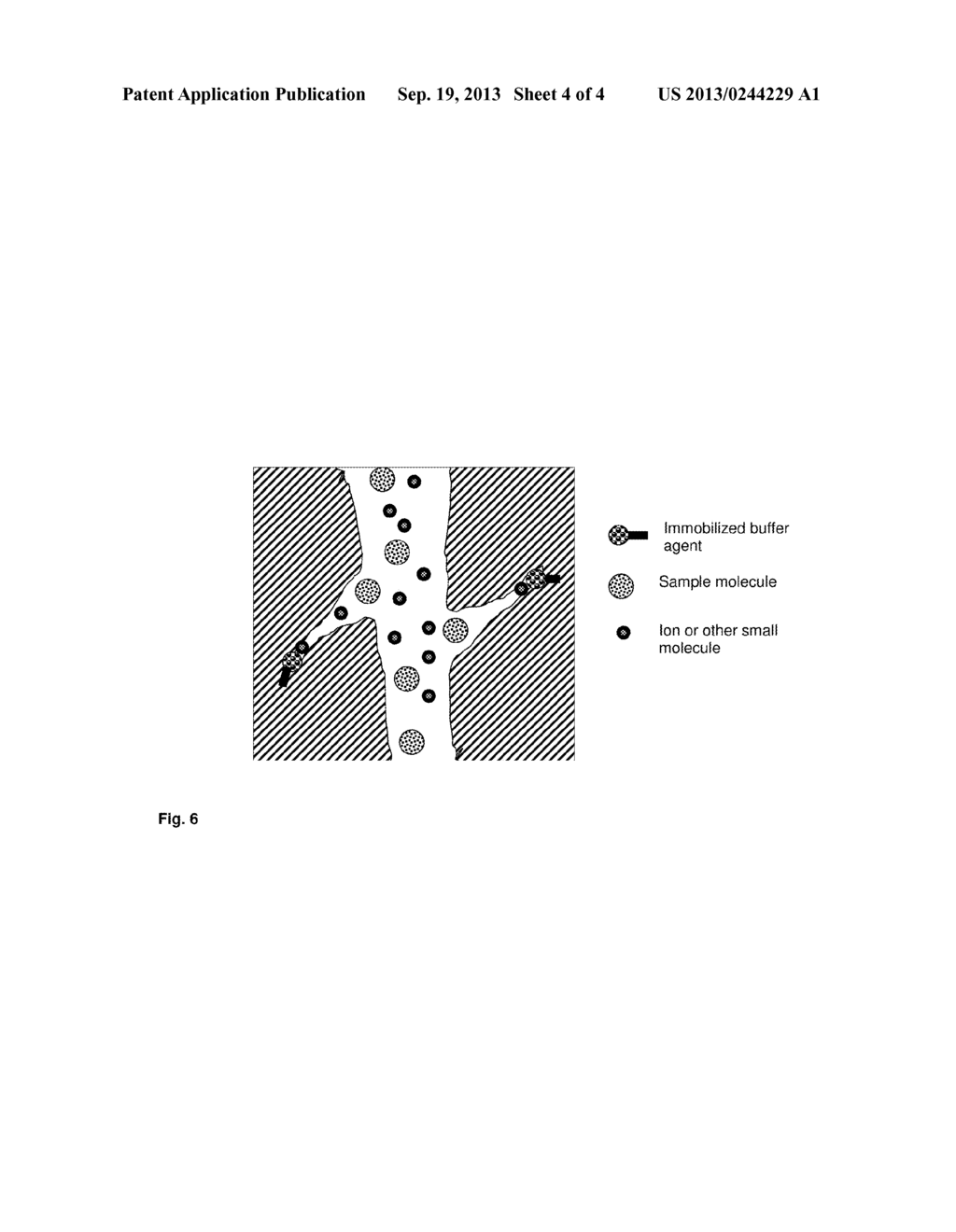 BUFFERING COMPOSITIONS ENCLOSED IN A SIZE EXCLUSION MATRIX - diagram, schematic, and image 05