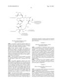 NMR SYSTEMS AND METHODS FOR THE RAPID DETECTION OF ANALYTES diagram and image