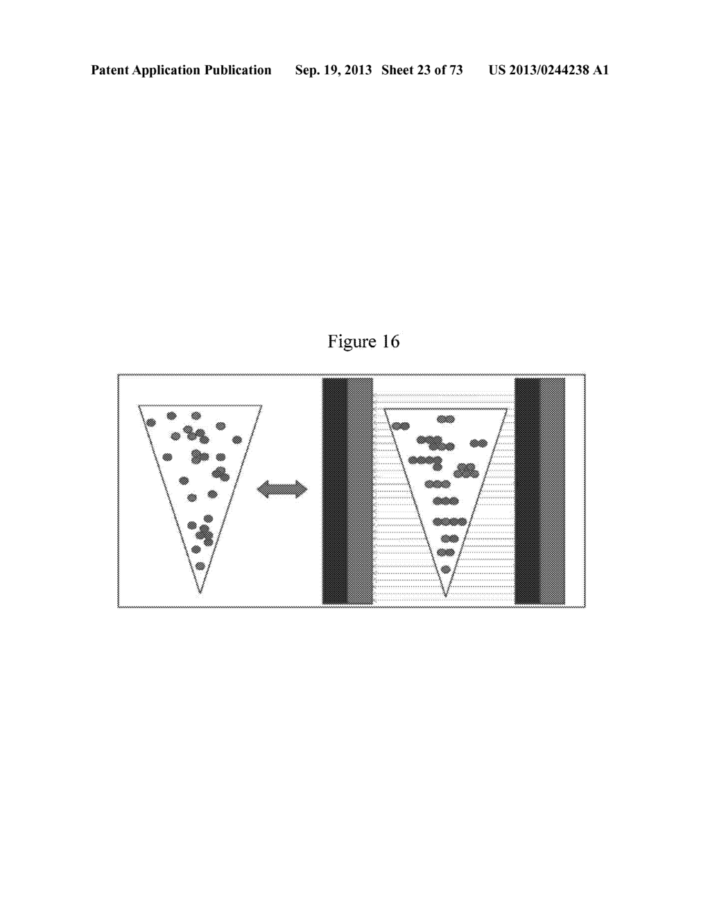 NMR SYSTEMS AND METHODS FOR THE RAPID DETECTION OF ANALYTES - diagram, schematic, and image 24