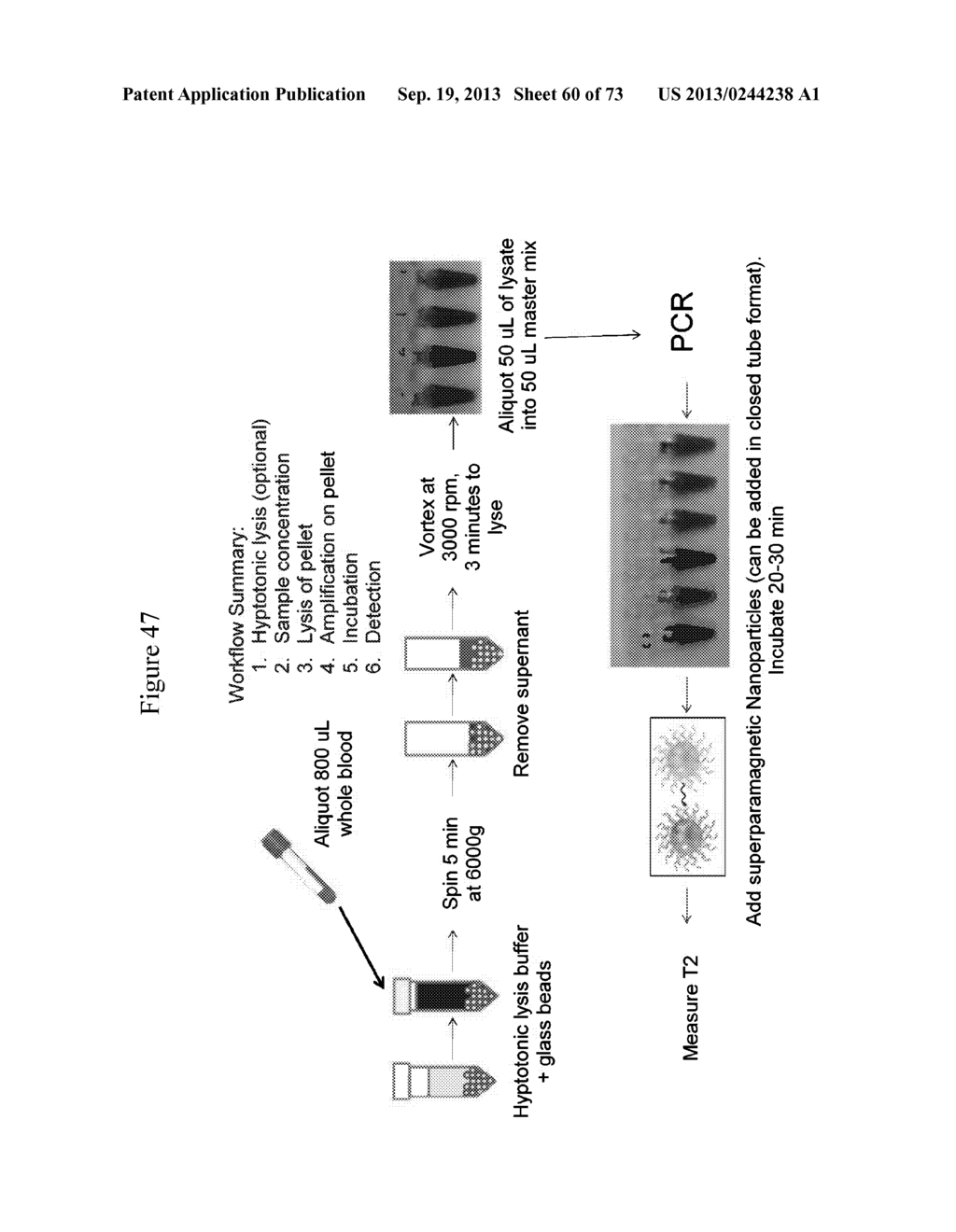 NMR SYSTEMS AND METHODS FOR THE RAPID DETECTION OF ANALYTES - diagram, schematic, and image 61