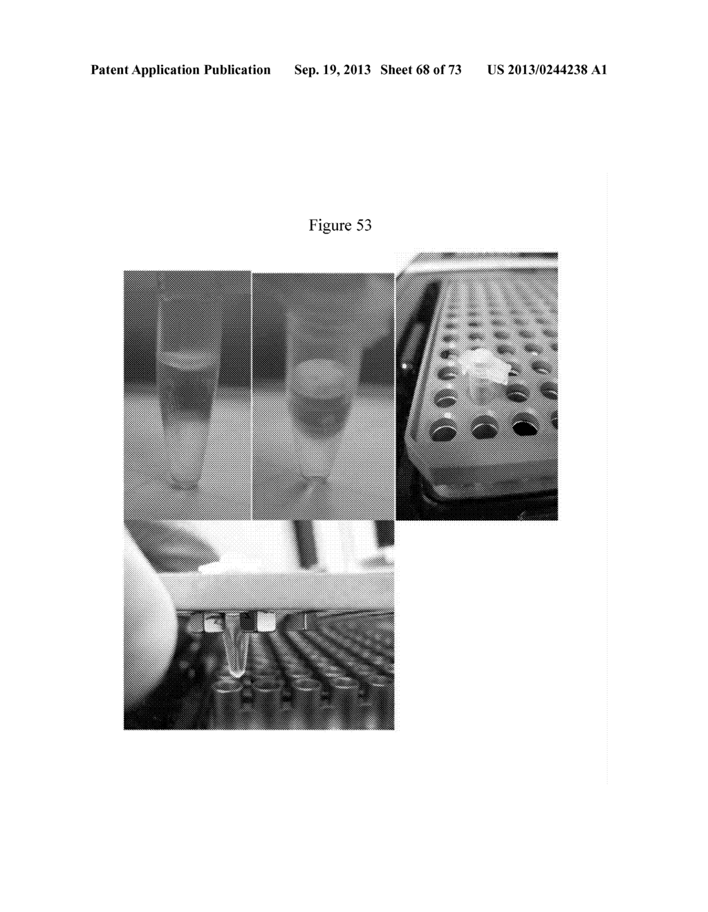 NMR SYSTEMS AND METHODS FOR THE RAPID DETECTION OF ANALYTES - diagram, schematic, and image 69