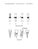 NMR SYSTEMS AND METHODS FOR THE RAPID DETECTION OF ANALYTES diagram and image