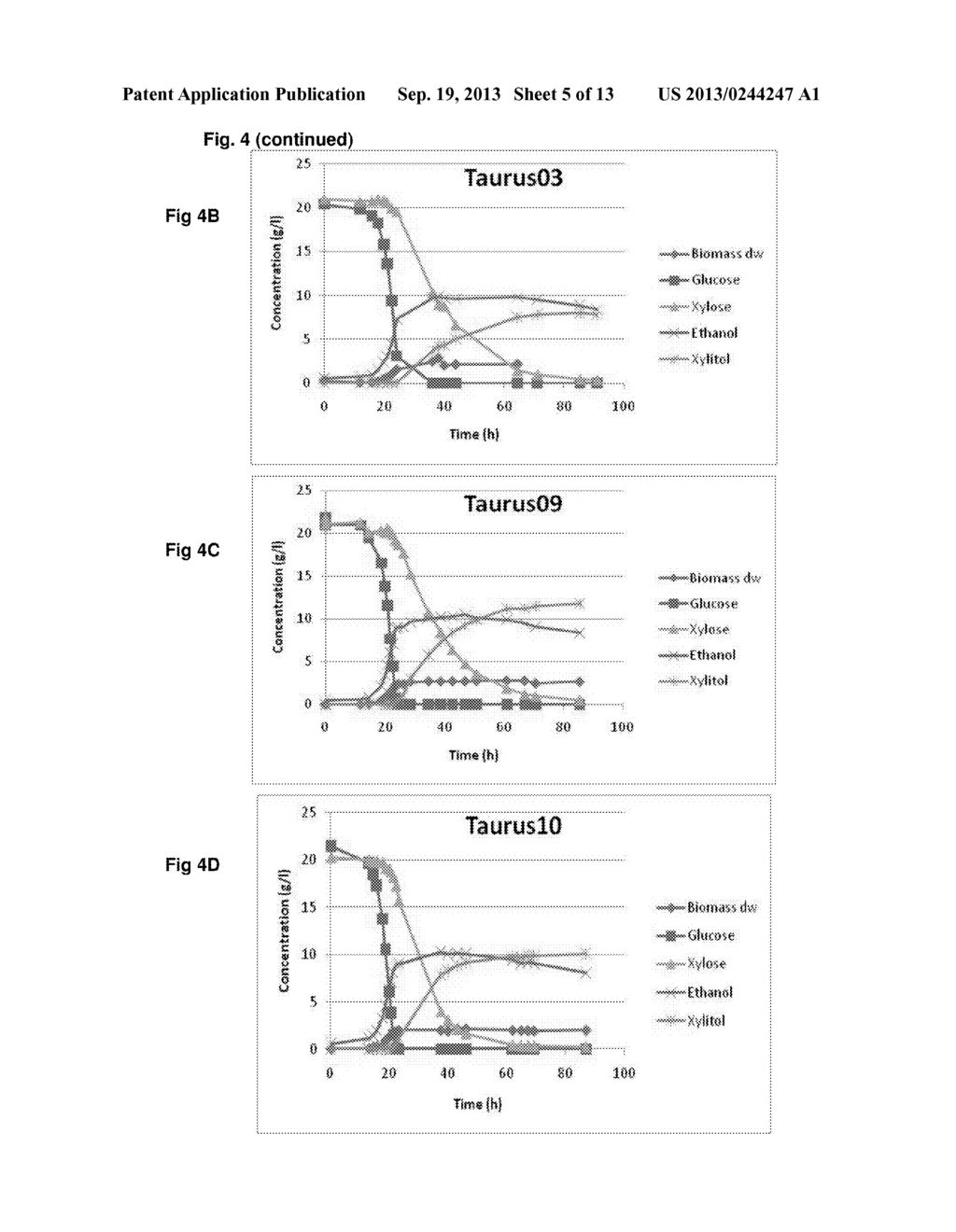 STRAINS OF SACCHAROMYCES CEREVISIAE - diagram, schematic, and image 06