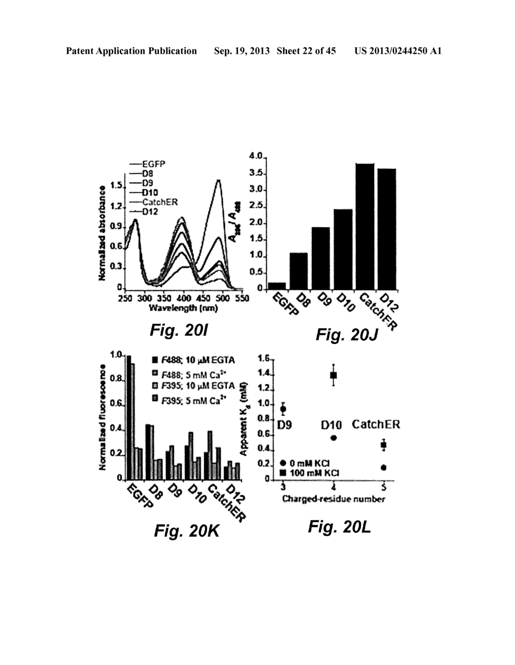 ANALYTE SENSORS, METHODS FOR PREPARING AND USING SUCH SENSORS, AND METHODS     OF DETECTING ANALYTE ACTIVITY - diagram, schematic, and image 23