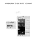 Compositions and Methods for Treating and Diagnosing Cancer diagram and image