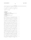 Modified polymerases for improved incorporation of nucleotide analogues diagram and image